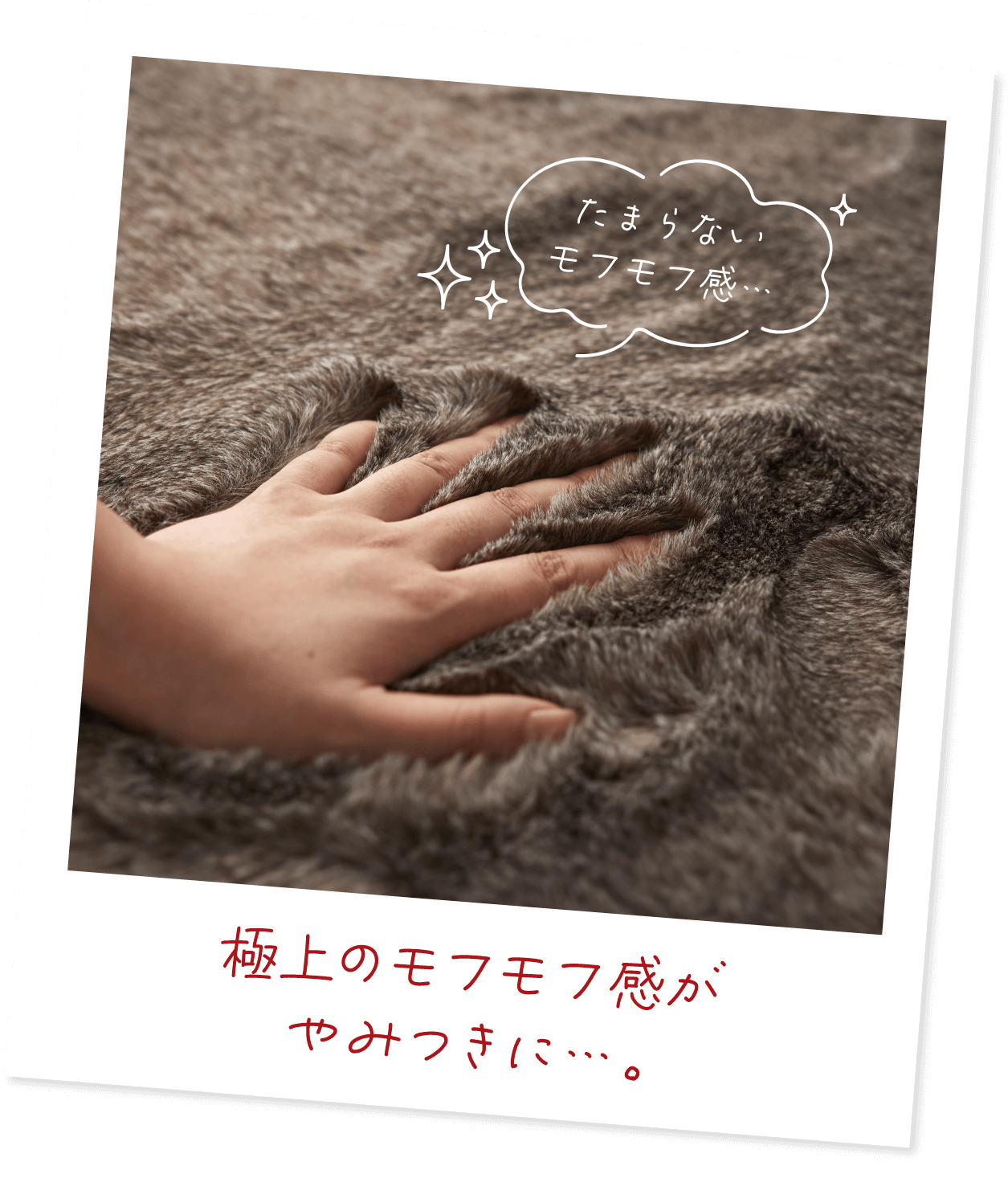 モフル