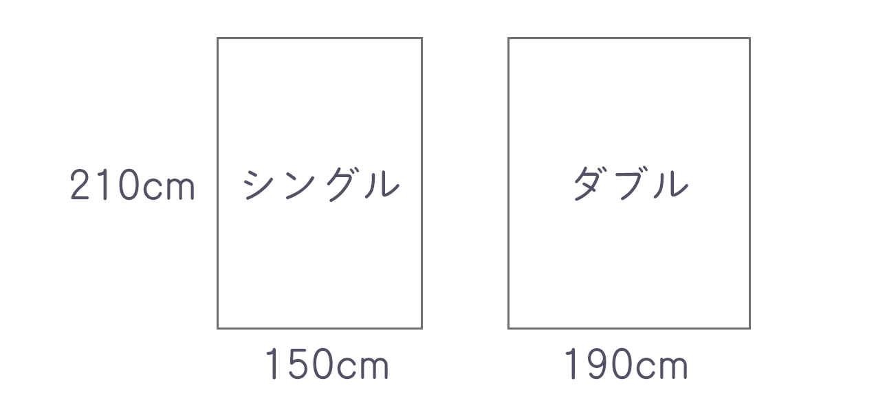 サイズ