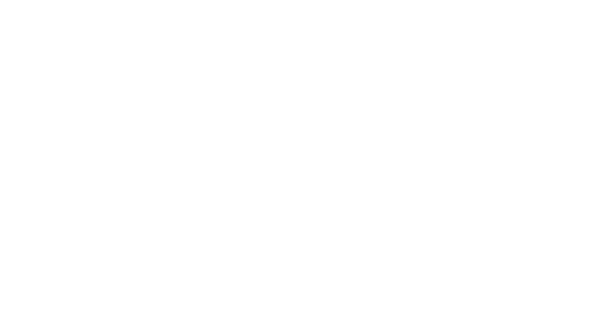 new life