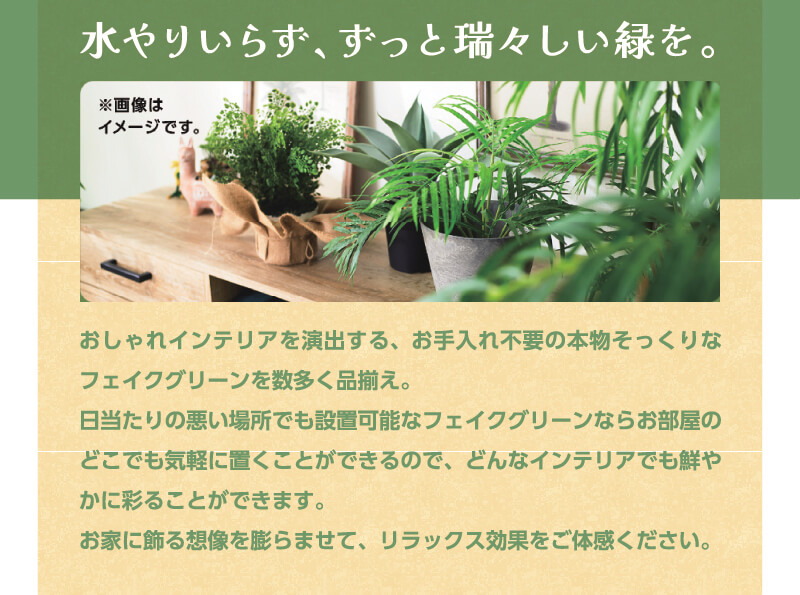 チラシ商品