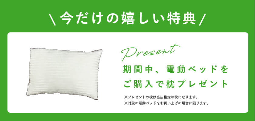 今だけの嬉しい特典 枕プレゼント