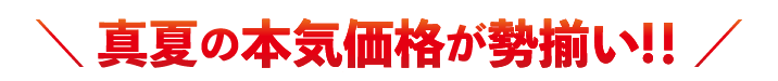 真夏の本気価格が勢揃い